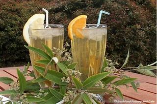 lemon-myrtle-tea